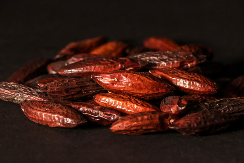 MSK Tonka Beans